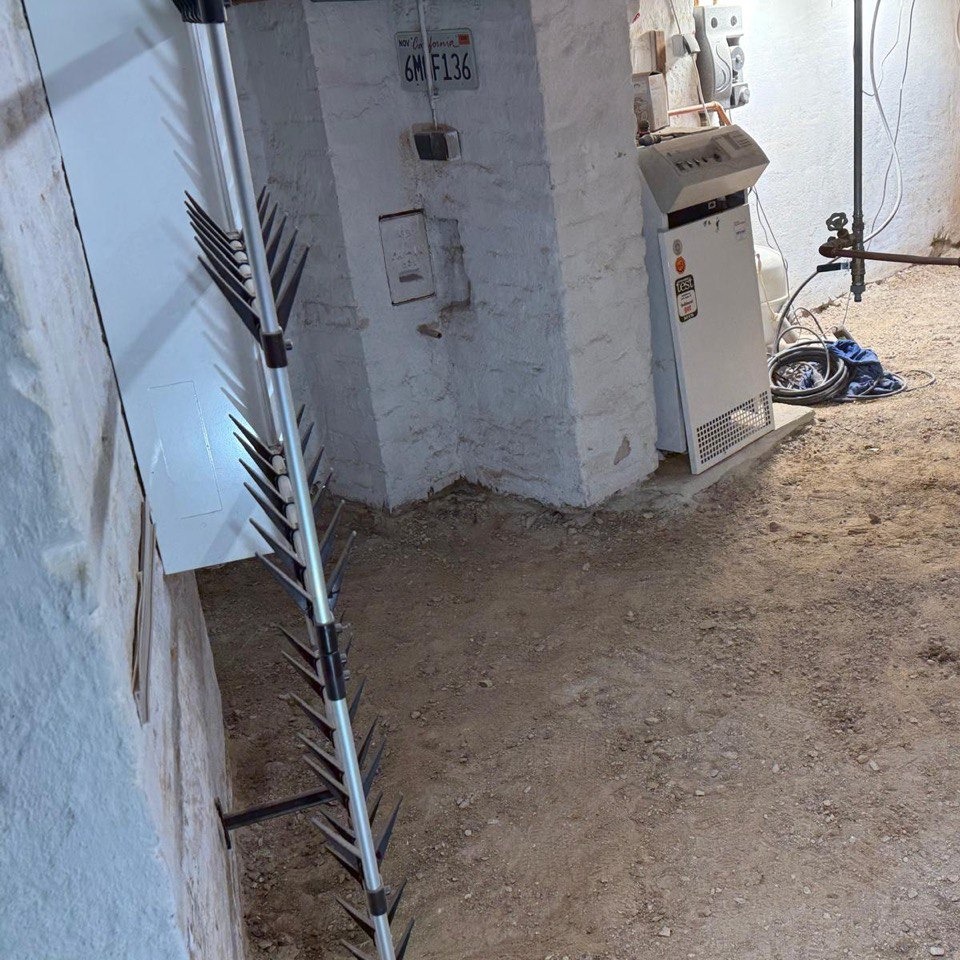 5249114166964982613 121